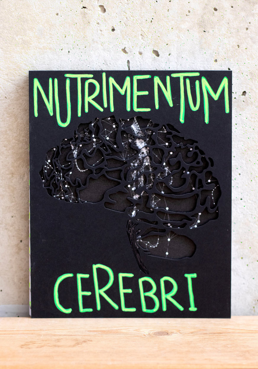 nbtb-work-nutrimentum-cerebri-5